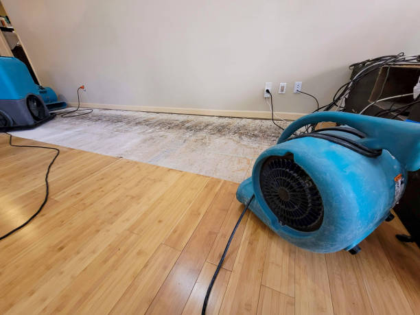Professional Water Removal technician working in McCoy, CO